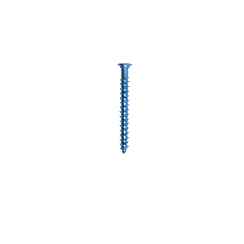 Low Profile Cancellous Screw