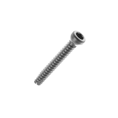 Locking Screw 4.5mm