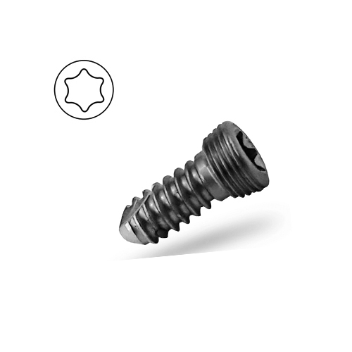 Locking Screw Ø 2.4mm (Star Like), Self Tapping